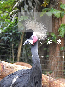 如何解決58同城借錢(qián)逾期問(wèn)題？步驟全解析